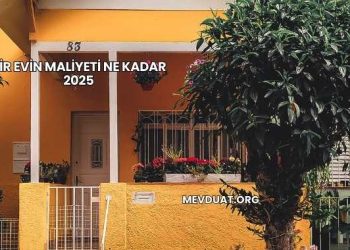Bir Evin Maliyeti Ne Kadar 2025