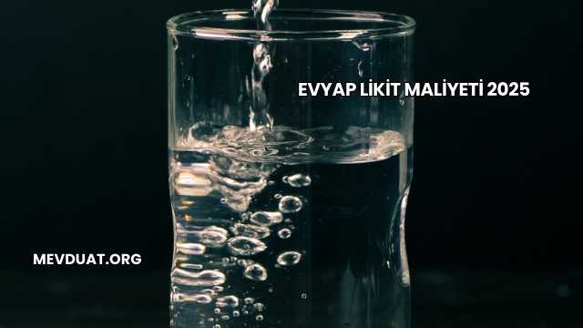 Evyap Likit Maliyeti 2025