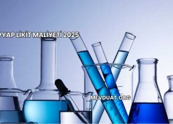 Evyap Likit Maliyeti 2025