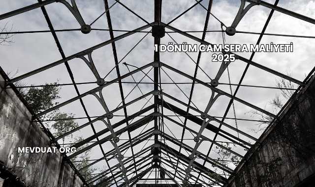 1 Dönüm Cam Sera Maliyeti 2025