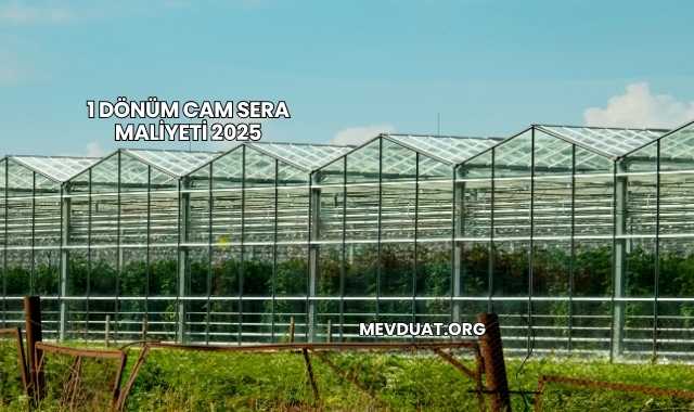 1 Dönüm Cam Sera Maliyeti 2025