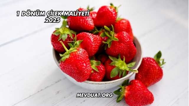 1 Dönüm Çilek Maliyeti 2025