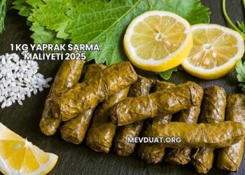 1 Kg Yaprak Sarma Maliyeti 2025