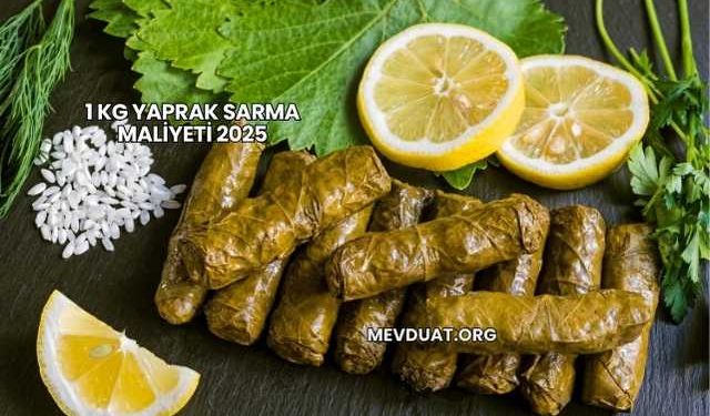 1 Kg Yaprak Sarma Maliyeti 2025