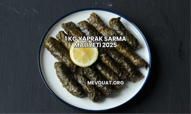 1 Kg Yaprak Sarma Maliyeti 2025