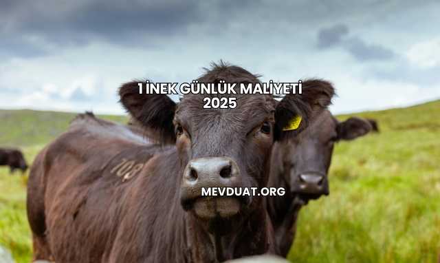 1 İnek Günlük Maliyeti 2025