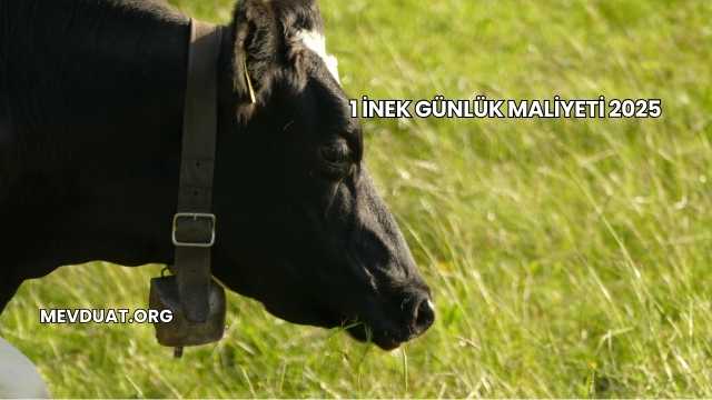 1 İnek Günlük Maliyeti 2025