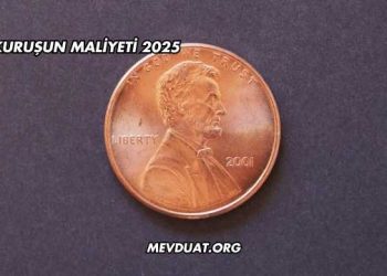 1 Kuruşun Maliyeti 2025