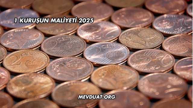 1 Kuruşun Maliyeti 2025