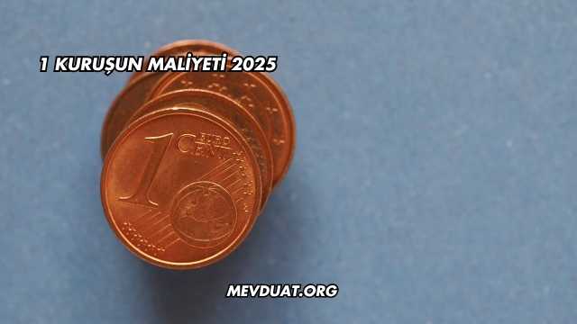 1 Kuruşun Maliyeti 2025