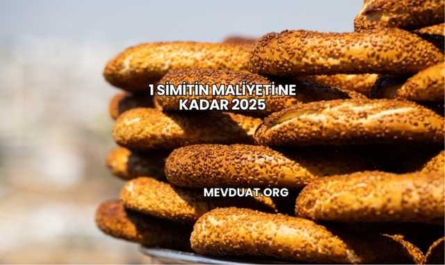 1 Simitin Maliyeti Ne Kadar 2025