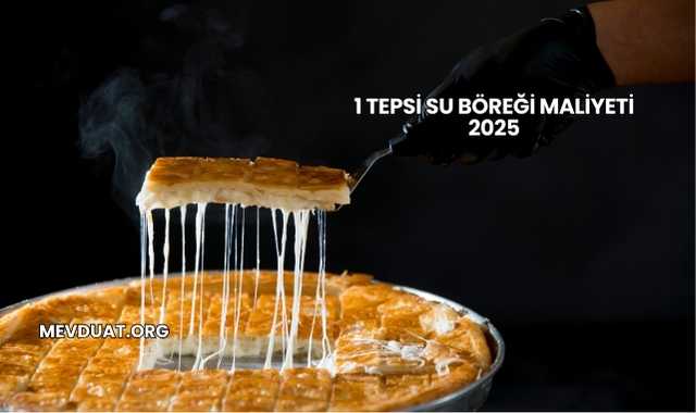 1 Tepsi Su Böreği Maliyeti 2025