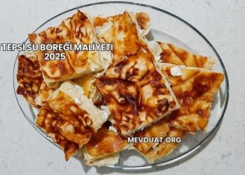 1 Tepsi Su Böreği Maliyeti 2025
