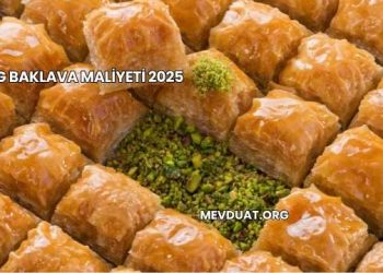 1 kg Baklava Maliyeti 2025