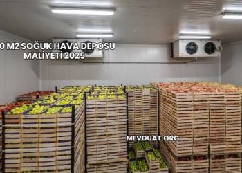 50 M2 Soğuk Hava Deposu Maliyeti 2025