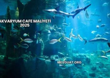 Akvaryum Cafe Maliyeti 2025