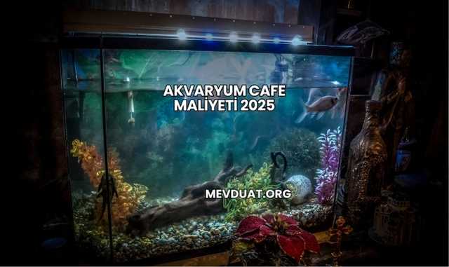 Akvaryum Cafe Maliyeti 2025