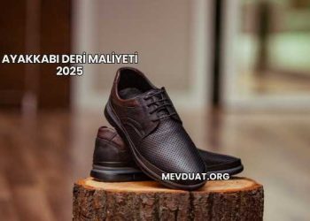 Ayakkabı Deri Maliyeti 2025