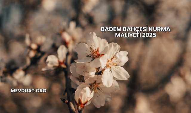 Badem Bahçesi Kurma Maliyeti 2025