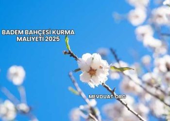 Badem Bahçesi Kurma Maliyeti 2025