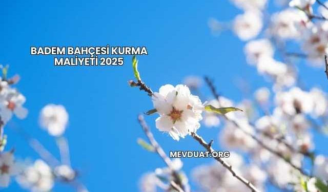Badem Bahçesi Kurma Maliyeti 2025