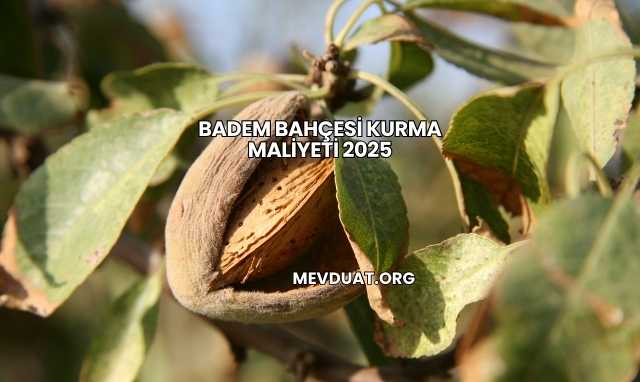 Badem Bahçesi Kurma Maliyeti 2025