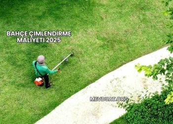 Bahçe Çimlendirme Maliyeti 2025