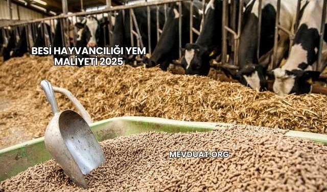 Besi Hayvancılığı Yem Maliyeti 2025
