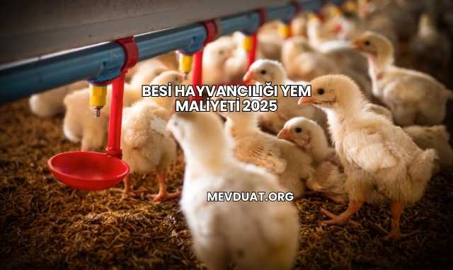 Besi Hayvancılığı Yem Maliyeti 2025