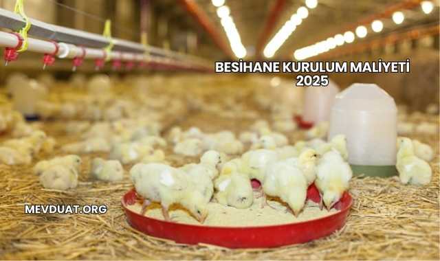 Besihane Kurulum Maliyeti 2025