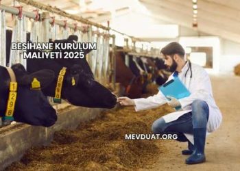 Besihane Kurulum Maliyeti 2025