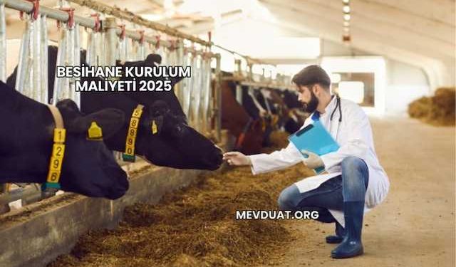 Besihane Kurulum Maliyeti 2025
