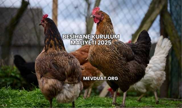 Besihane Kurulum Maliyeti 2025