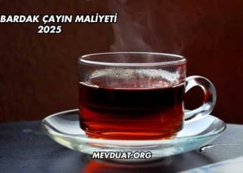 Bir Bardak Çayın Maliyeti 2025