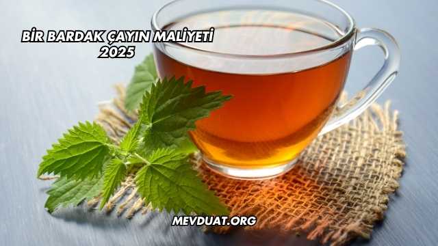 Bir Bardak Çayın Maliyeti 2025