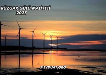 Bir Rüzgar Gülü Maliyeti 2025