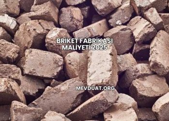 Briket Fabrikası Maliyeti 2025