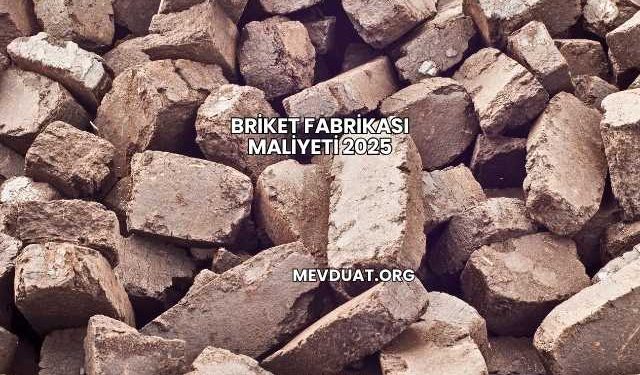 Briket Fabrikası Maliyeti 2025