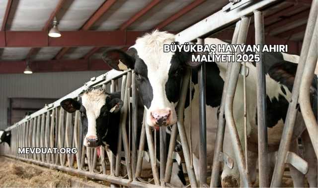 Büyükbaş Hayvan Ahırı Maliyeti 2025