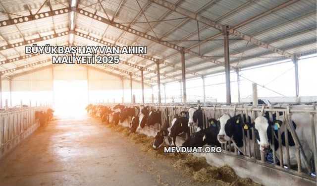 Büyükbaş Hayvan Ahırı Maliyeti 2025