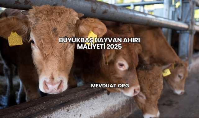 Büyükbaş Hayvan Ahırı Maliyeti 2025