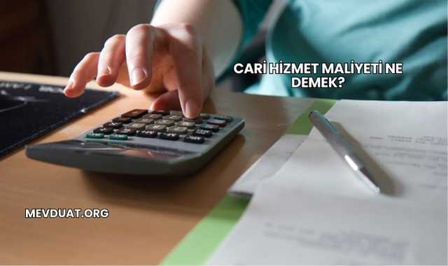 Cari Hizmet Maliyeti Ne Demek?