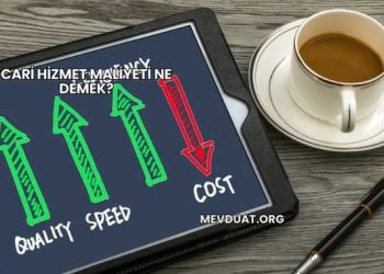 Cari Hizmet Maliyeti Ne Demek?
