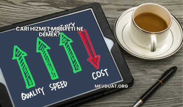 Cari Hizmet Maliyeti Ne Demek?