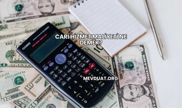 Cari Hizmet Maliyeti Ne Demek?