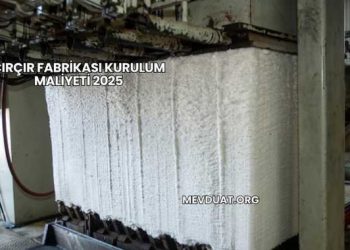Çırçır Fabrikası Kurulum Maliyeti 2025