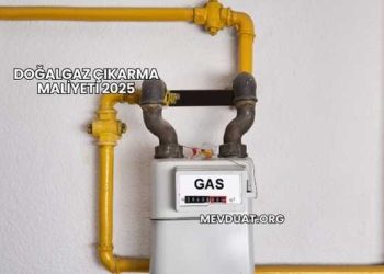 Doğalgaz Çıkarma Maliyeti 2025