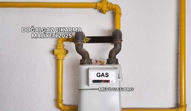 Doğalgaz Çıkarma Maliyeti 2025