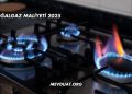 Doğalgaz Maliyeti 2025