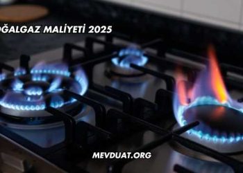 Doğalgaz Maliyeti 2025
